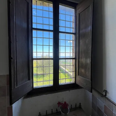 Castello Di Mongiovino Vecchio 