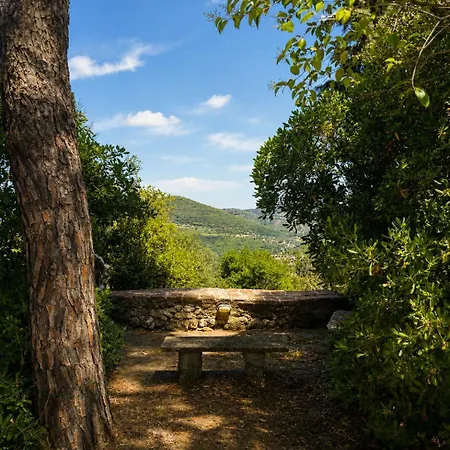 Castello Di Mongiovino Vecchio 